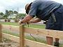 Taree-fence-b 045